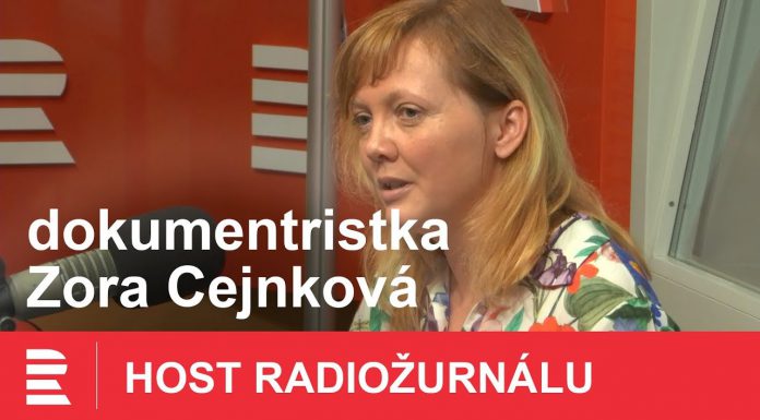 Reactions to the film A člověk stvořil robota