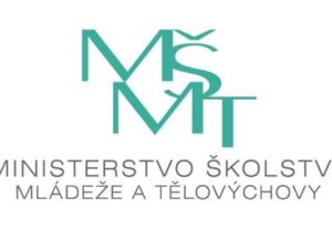msmt